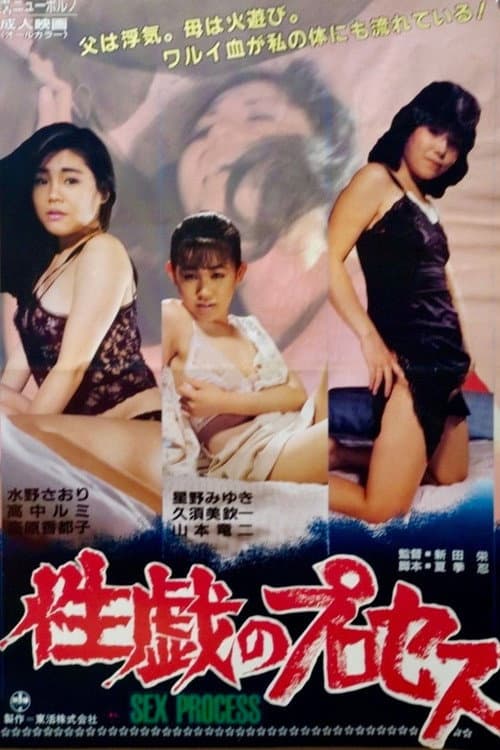 The Process of Sexual Play poster