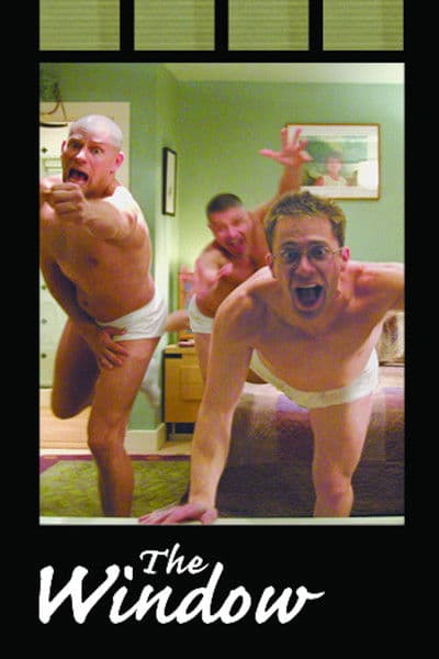 The Window poster
