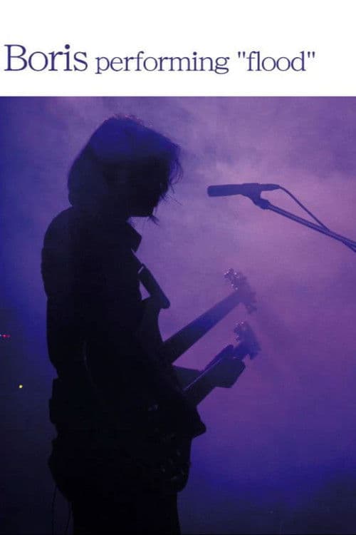 Boris performing flood poster