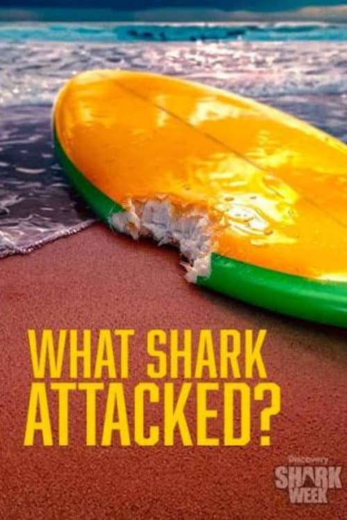 What Shark Attacked? poster