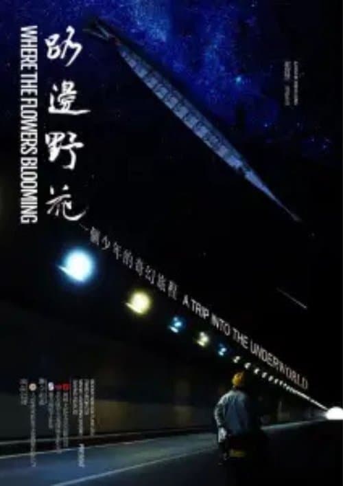 Where The Flowers Blooming poster