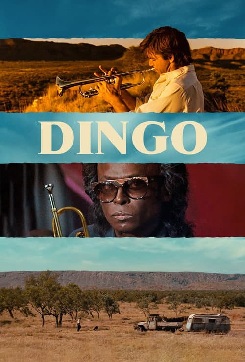 Dingo poster