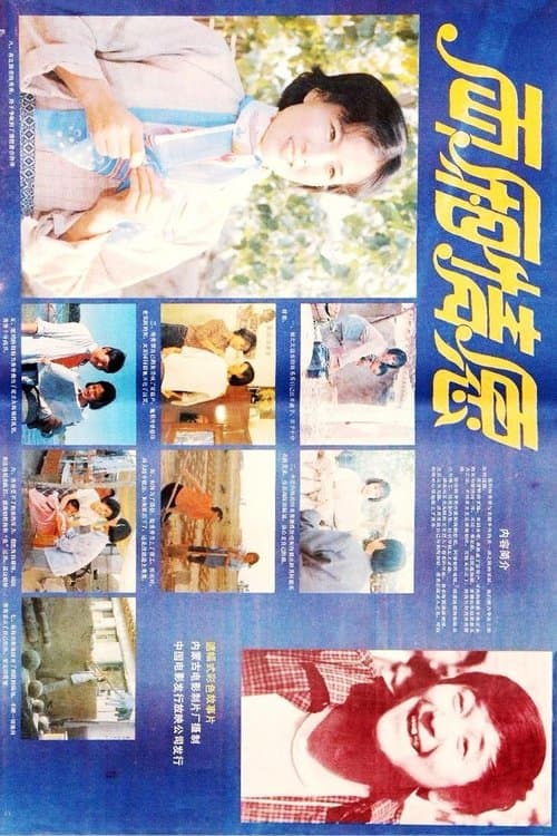 两厢情愿 poster