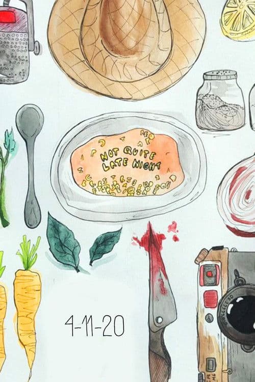 Not Quite Late Night poster