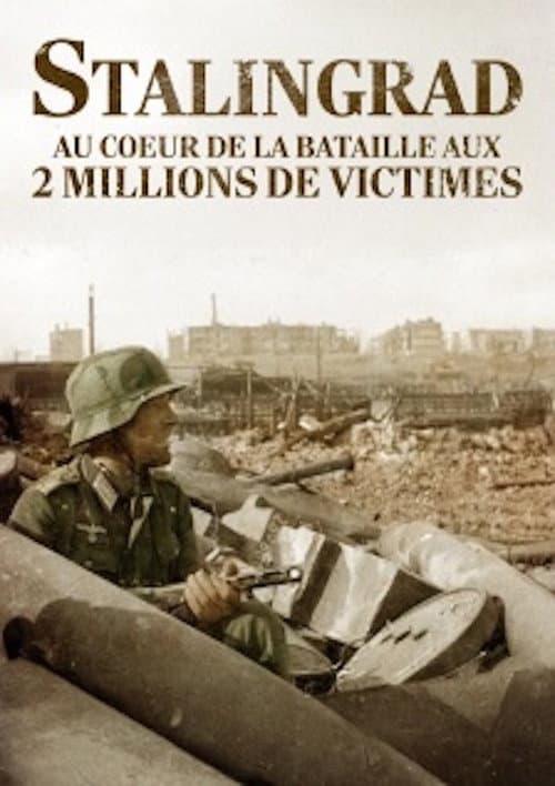 Stalingrad, au coeur de la bataille aux deux millions de victimes poster