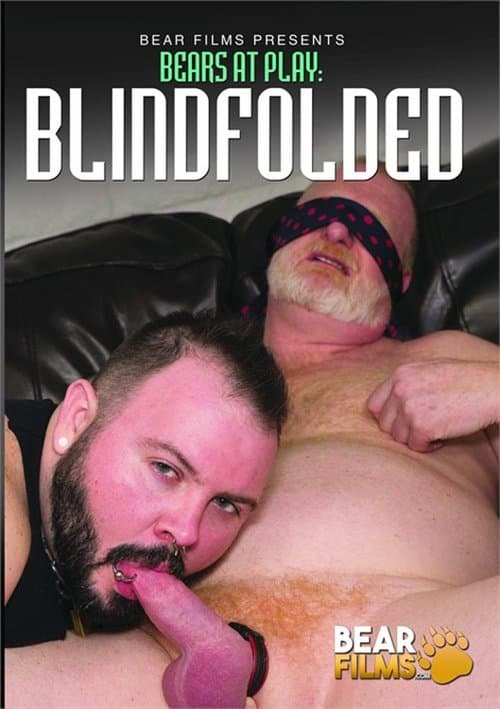 Bears at Play: Blindfolded poster