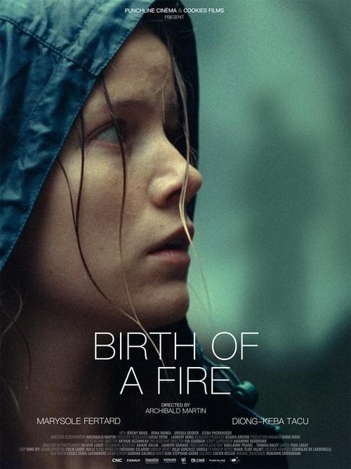Birth of a Fire poster