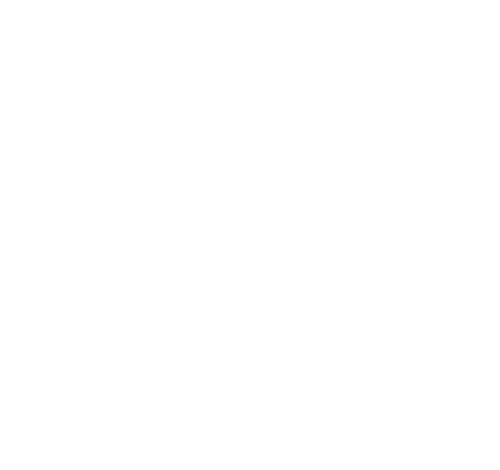 ICS Nordic