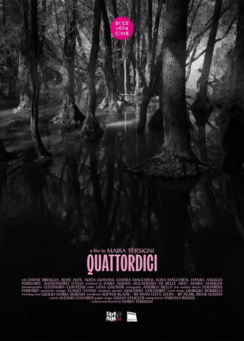 Quattordici poster
