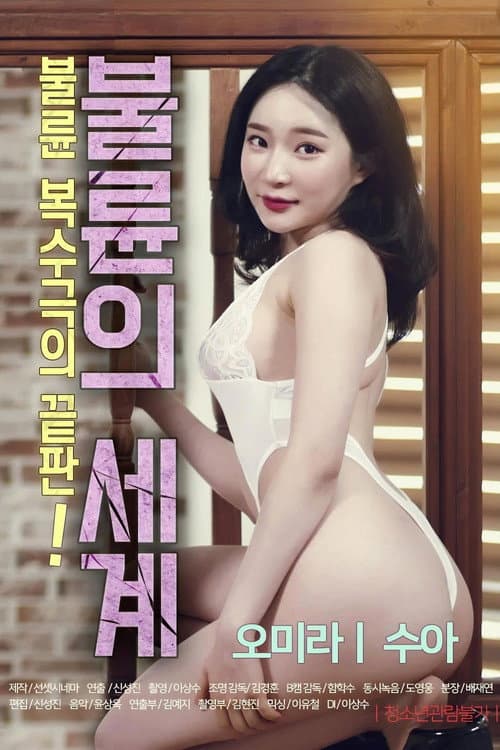 The World of Adultery poster