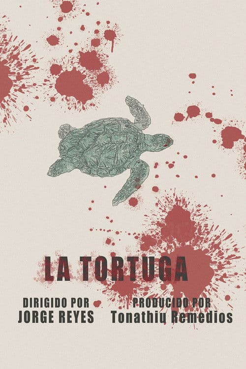 The Turtle poster