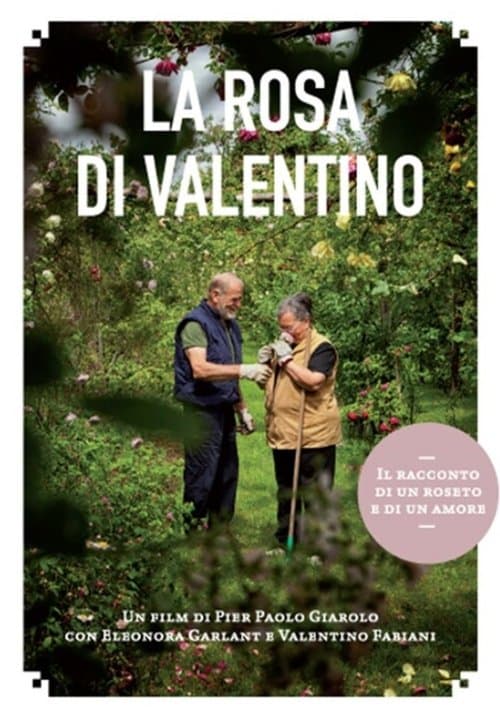 La rosa di Valentino poster