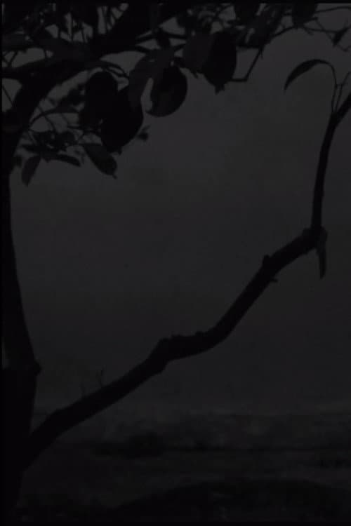 The Seagull poster