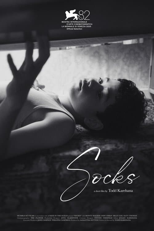 Socks poster