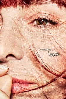 Wende: Vrijplaats poster