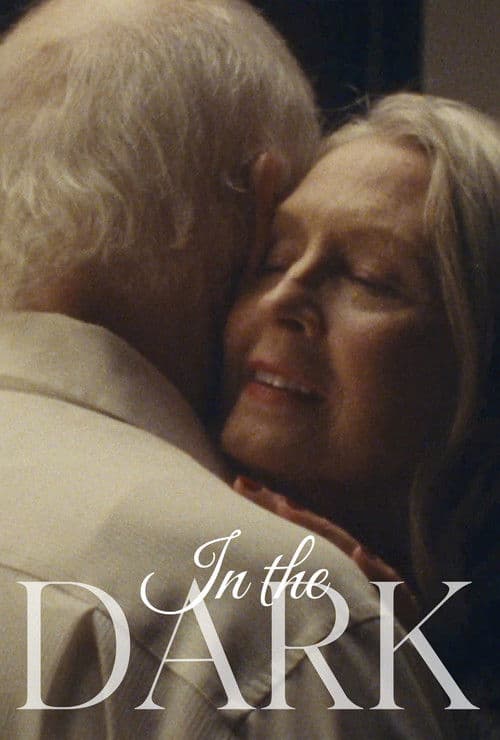In The Dark poster