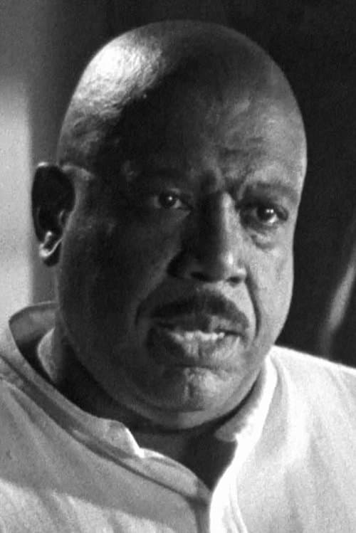 Ivory Ocean profile photo