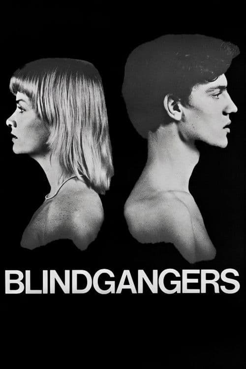 Blind Spot poster