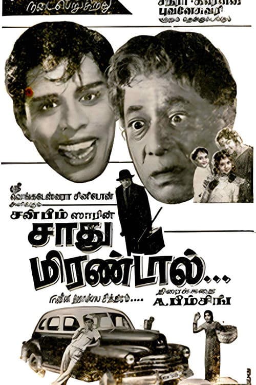 Sadhu Mirandal poster
