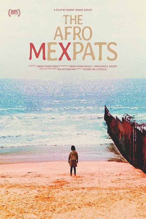 The Afro Mexpats poster