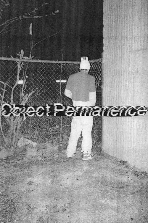 Object Permanence poster