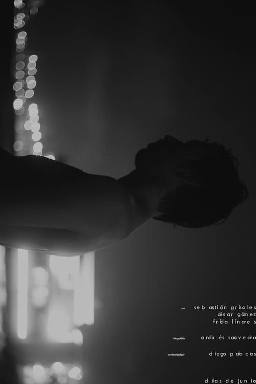 Días de Junio poster