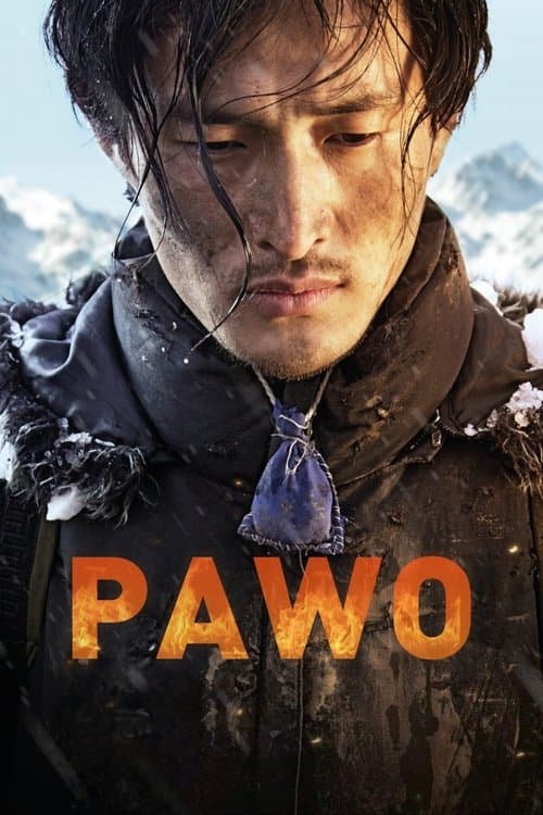 Pawo poster