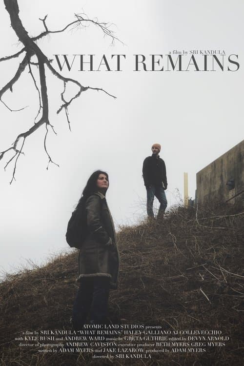 What Remains poster