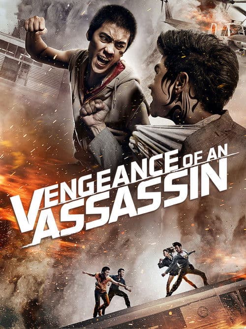 Vengeance of an Assassin poster
