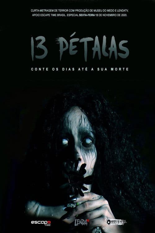 13 Pétalas poster