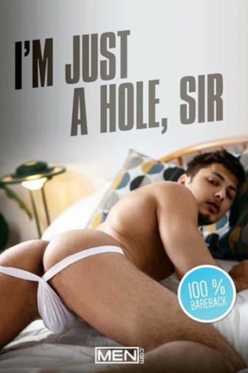 I'm Just A Hole, Sir poster