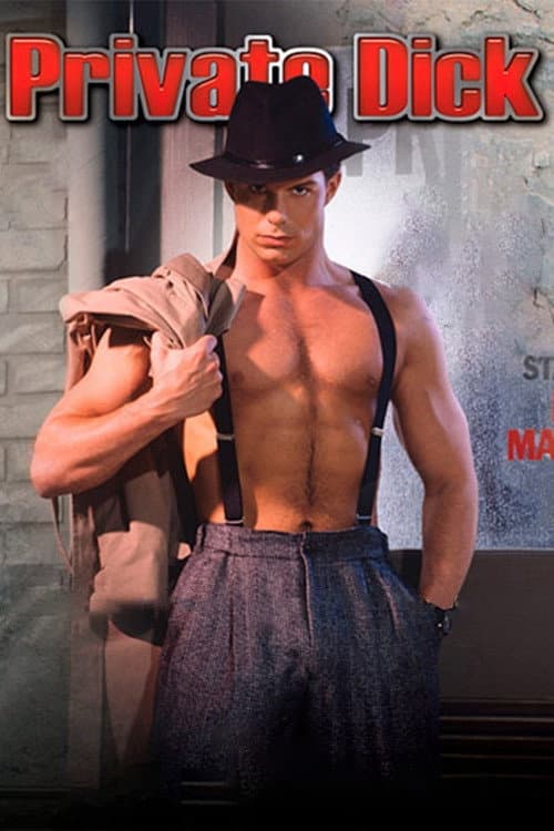 Private Dick poster