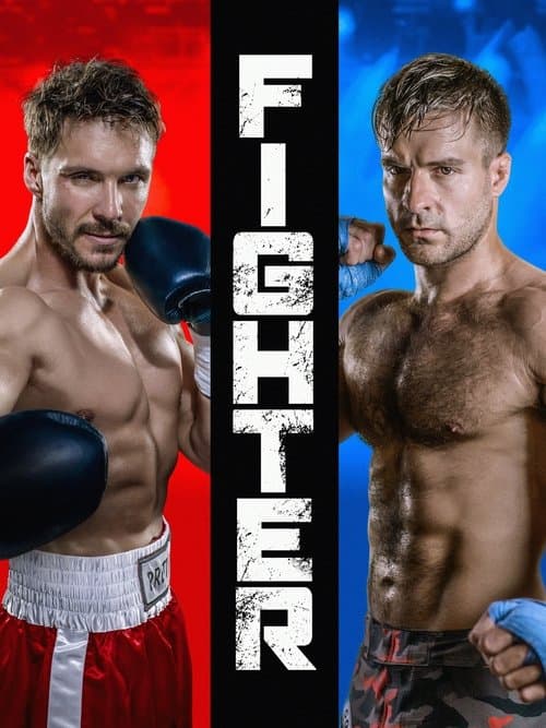 Fighter poster