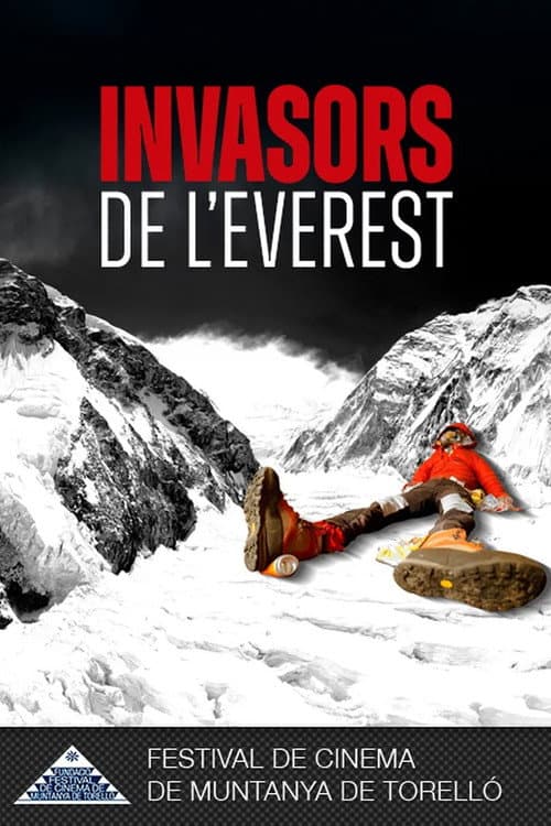 Everest Invaders poster