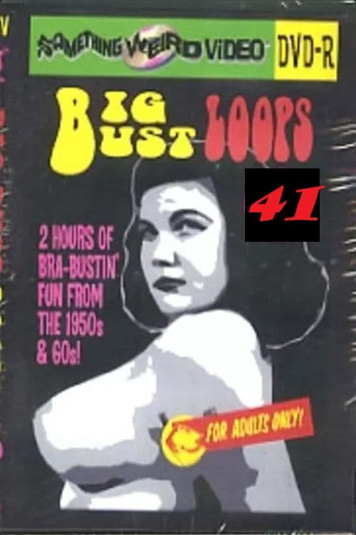 Big Bust Loops 41 poster