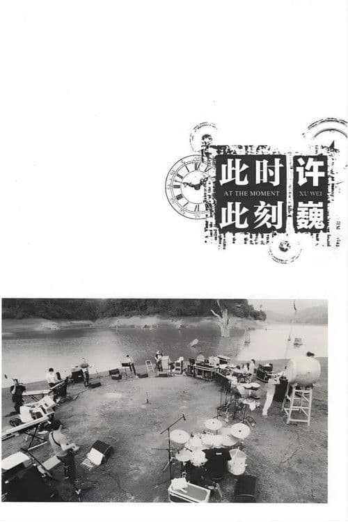 许巍：此时此刻 纪录片 poster