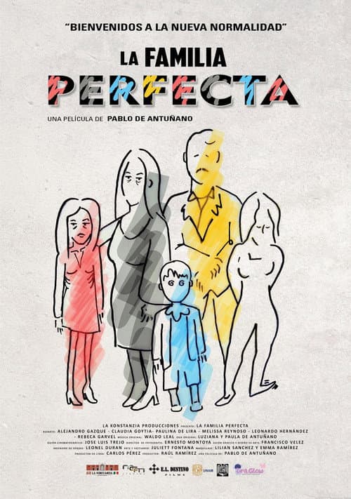 The Perfect Family poster