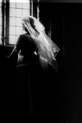 In the Shadow of the Throne poster