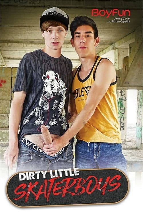 Dirty Little Skaterboys poster