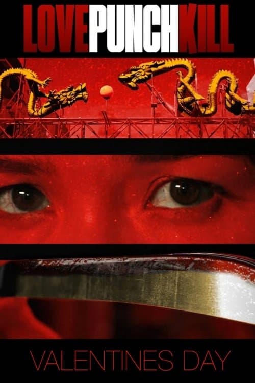Love Punch Kill poster