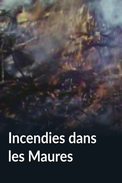 Incendies dans les Maures poster