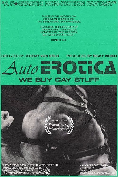 AutoErotica: We Buy Gay Stuff poster