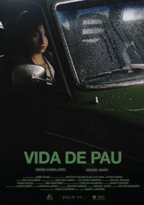 Vida de pau poster