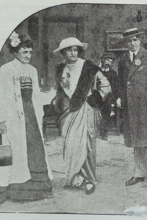 Mother-in-law in the Harem poster