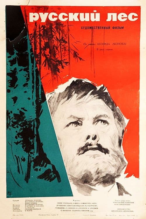 The Russian Forest poster