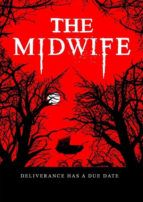 The Midwife poster