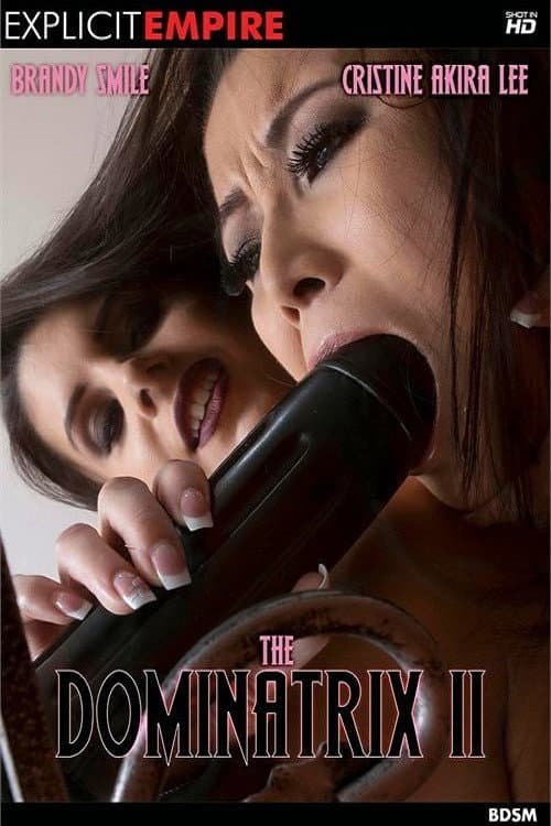 The Dominatrix 2 poster