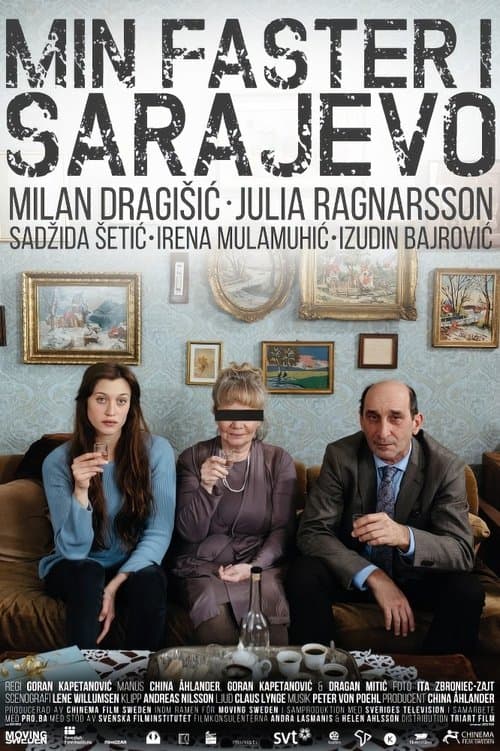 My Aunt in Sarajevo poster