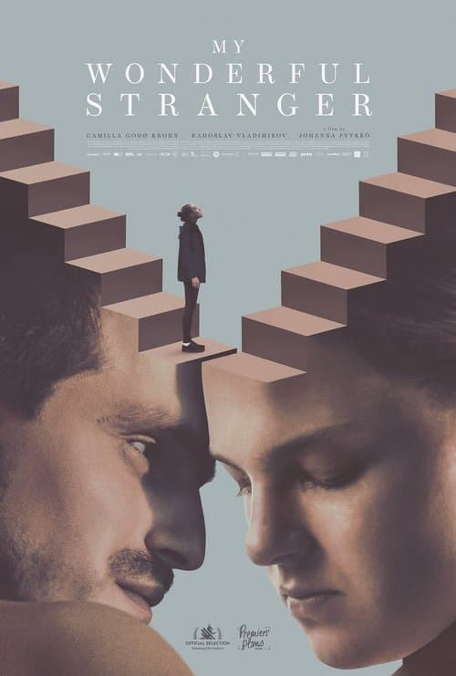 My Wonderful Stranger poster