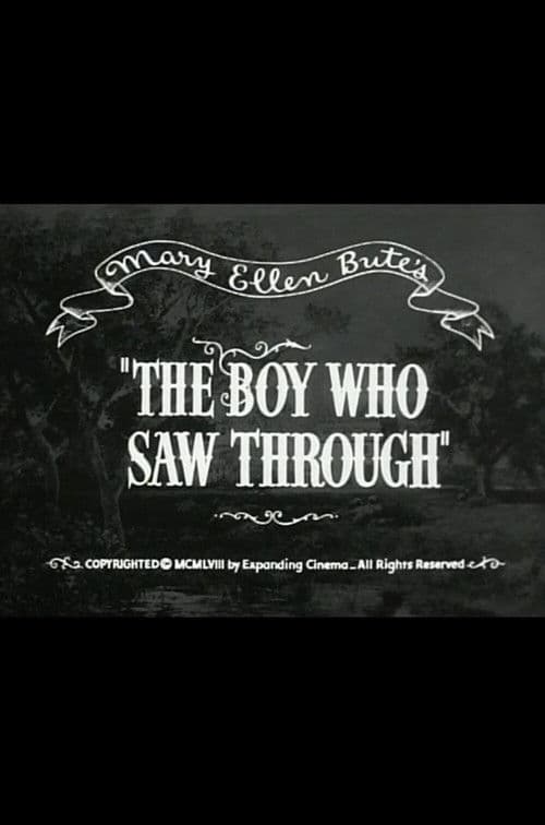 The Boy Who Saw Through poster